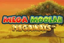 Mega Moolah Megaways slot